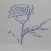 Card, blank, any occasion, outline, Rose, navy