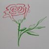 Rose, red, card, 5 x 5, blank card, any occasion